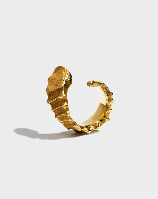 Сережки Horn Earrings